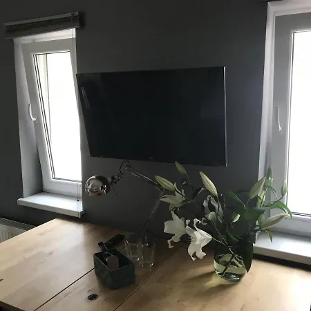 Mungo Jerry & In The Old Town * Poznań